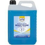 Eurol Screenwash Lemon -22